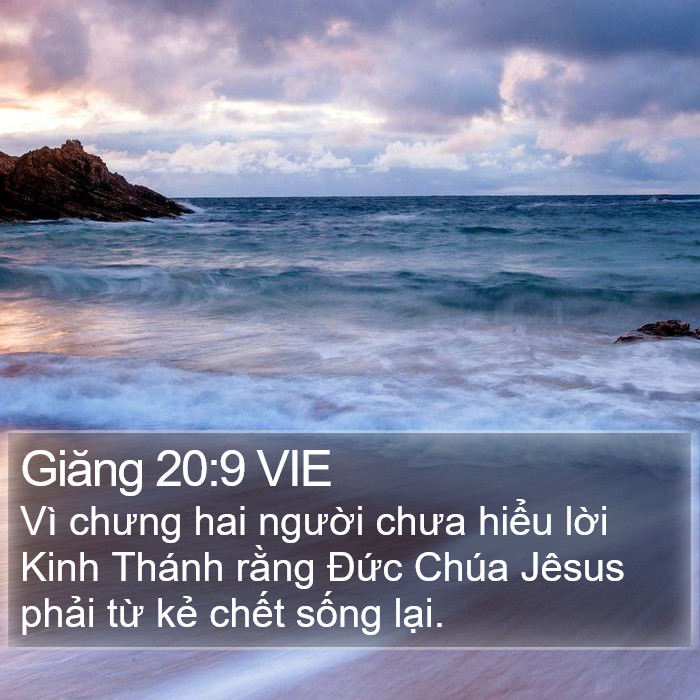 Giăng 20:9 VIE Bible Study