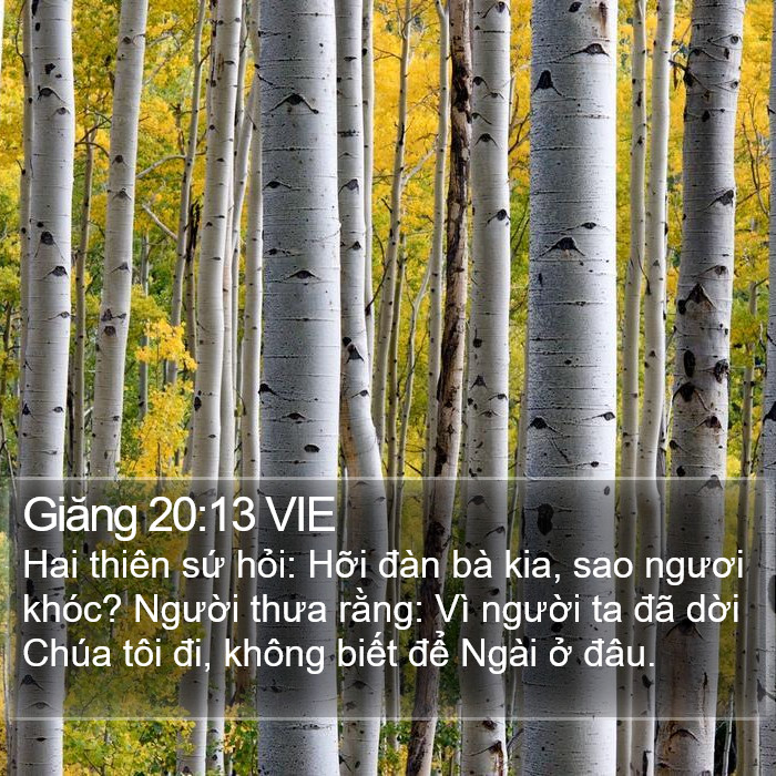 Giăng 20:13 VIE Bible Study