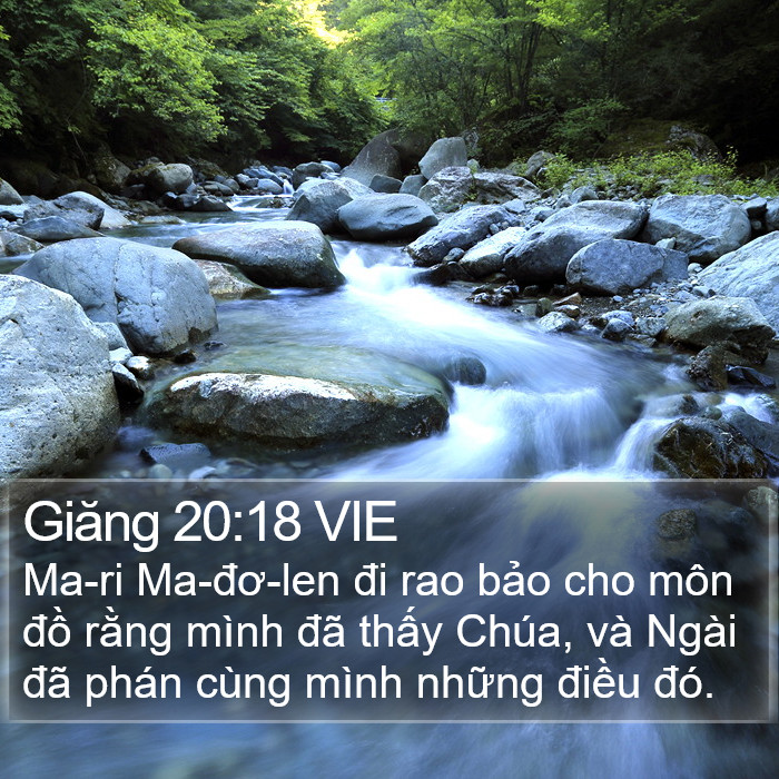 Giăng 20:18 VIE Bible Study