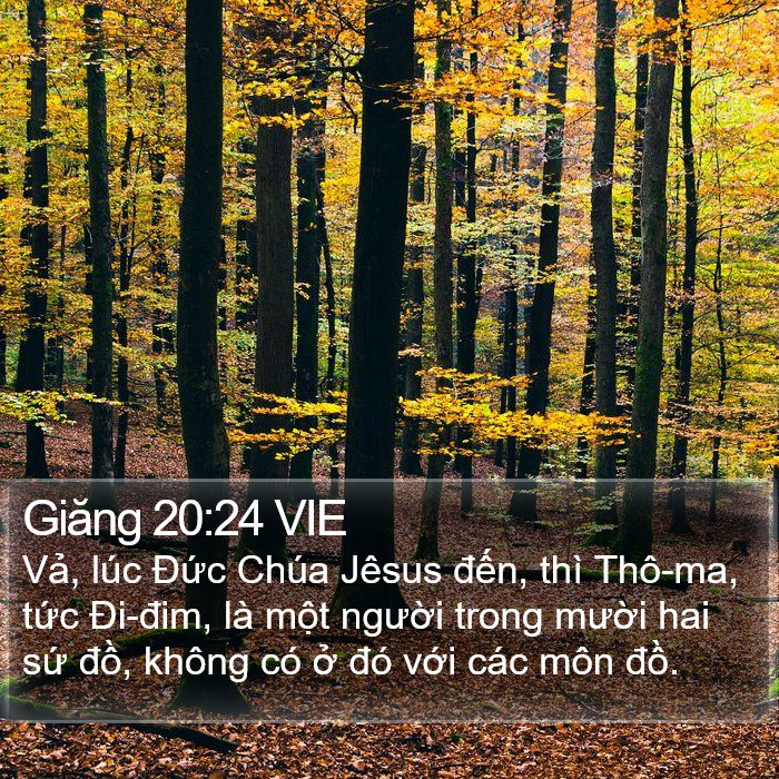 Giăng 20:24 VIE Bible Study