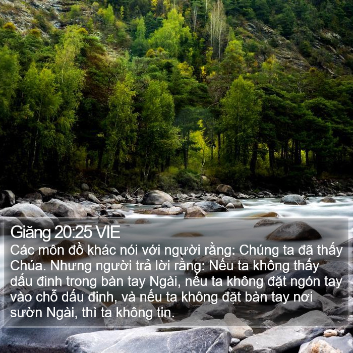 Giăng 20:25 VIE Bible Study