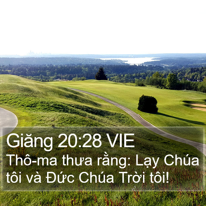 Giăng 20:28 VIE Bible Study