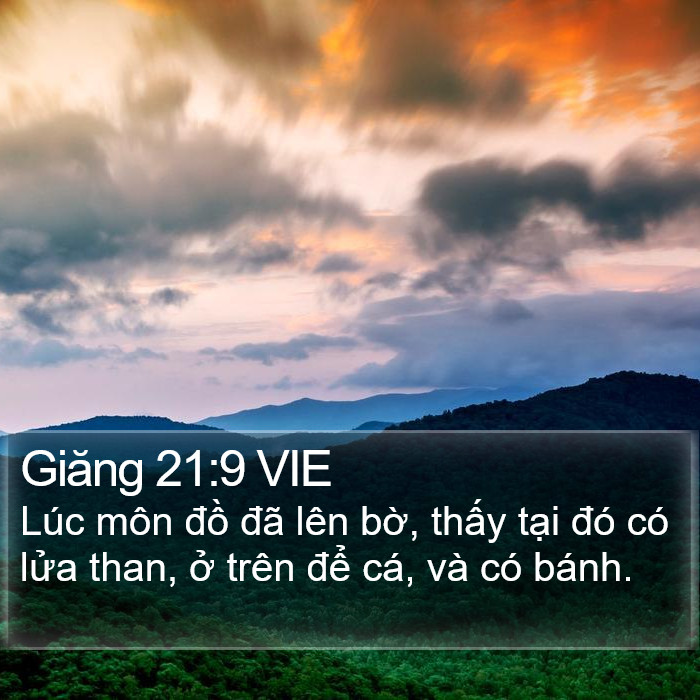 Giăng 21:9 VIE Bible Study