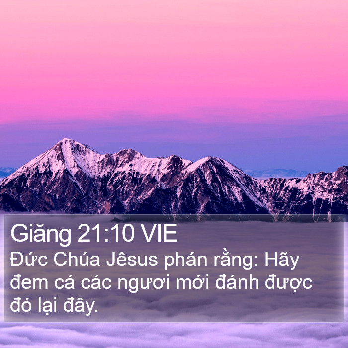 Giăng 21:10 VIE Bible Study