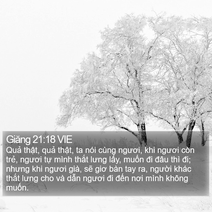 Giăng 21:18 VIE Bible Study