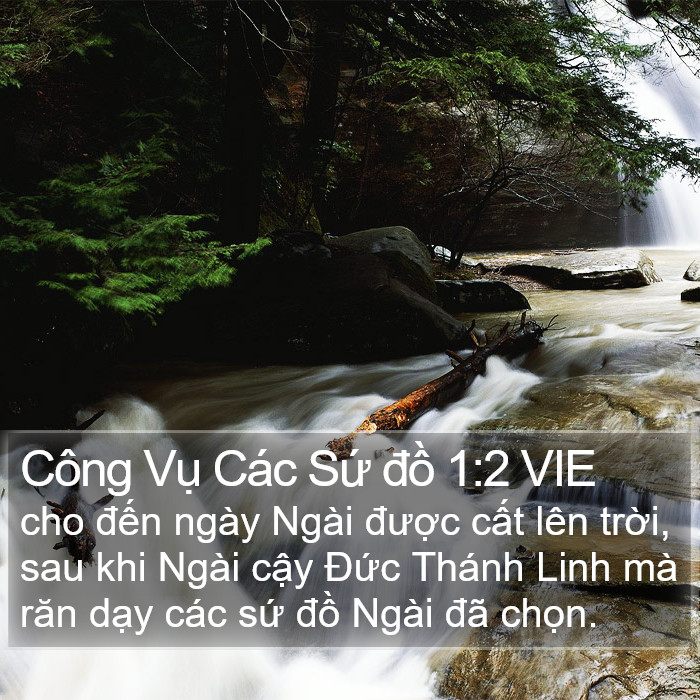 Công Vụ Các Sứ đồ 1:2 VIE Bible Study