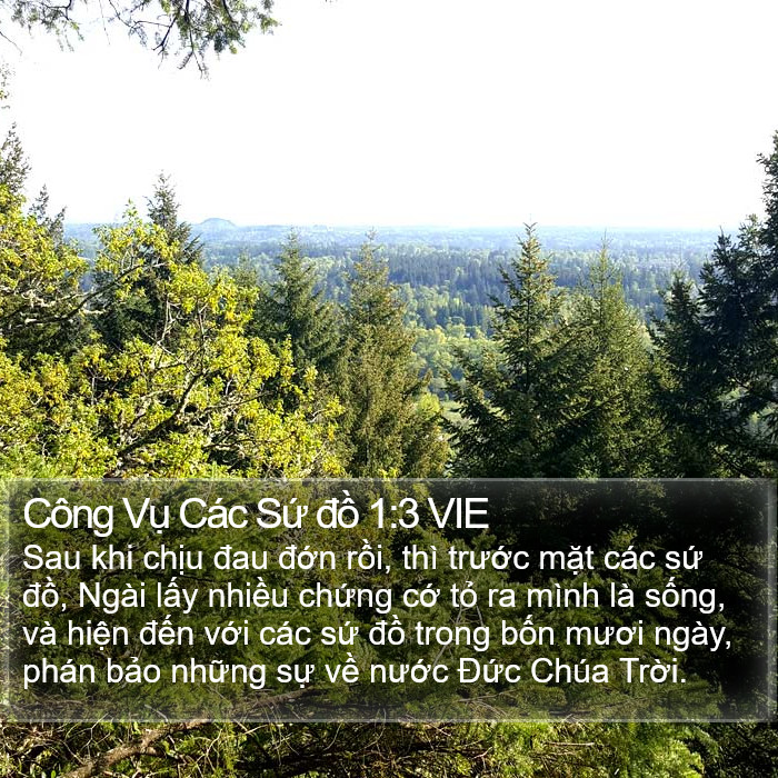 Công Vụ Các Sứ đồ 1:3 VIE Bible Study