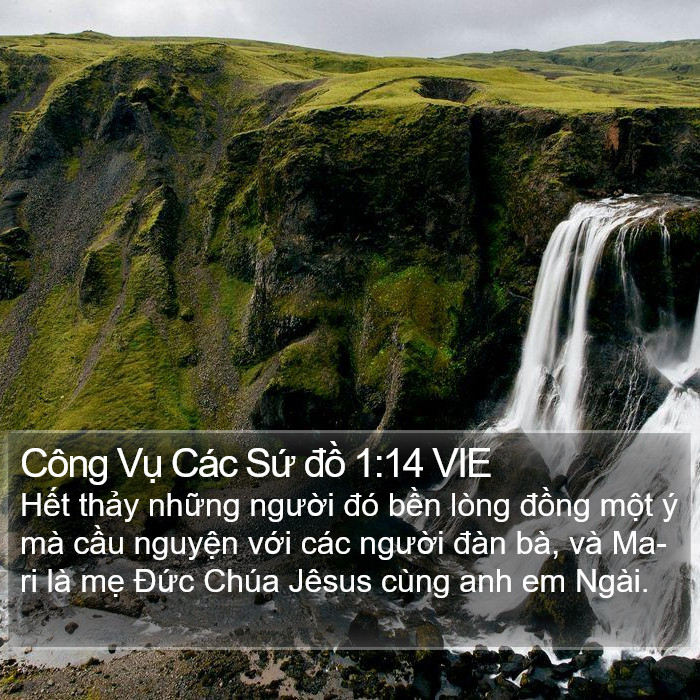 Công Vụ Các Sứ đồ 1:14 VIE Bible Study