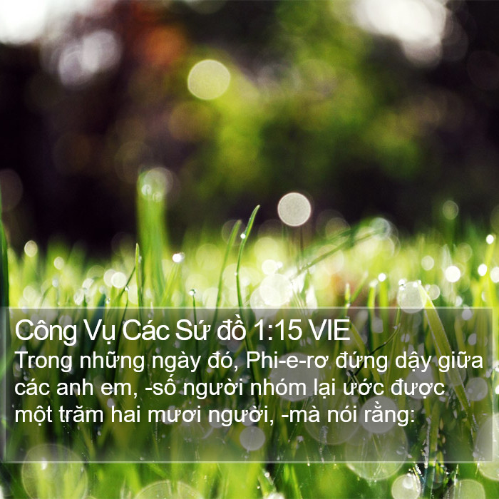 Công Vụ Các Sứ đồ 1:15 VIE Bible Study