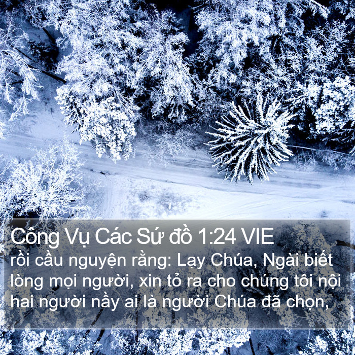 Công Vụ Các Sứ đồ 1:24 VIE Bible Study