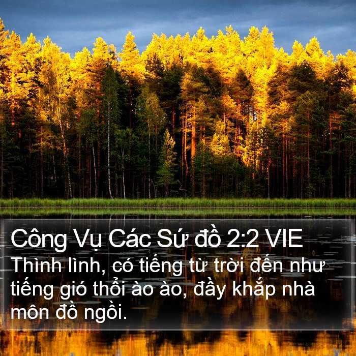 Công Vụ Các Sứ đồ 2:2 VIE Bible Study