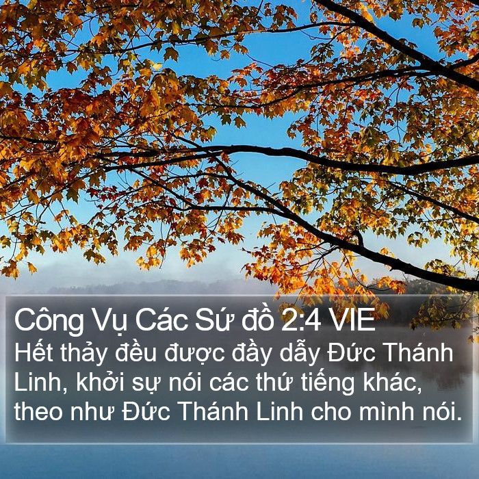 Công Vụ Các Sứ đồ 2:4 VIE Bible Study