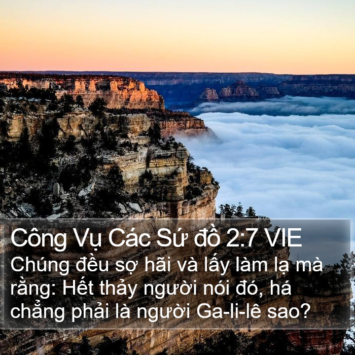 Công Vụ Các Sứ đồ 2:7 VIE Bible Study