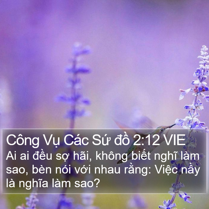 Công Vụ Các Sứ đồ 2:12 VIE Bible Study