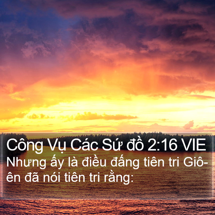 Công Vụ Các Sứ đồ 2:16 VIE Bible Study