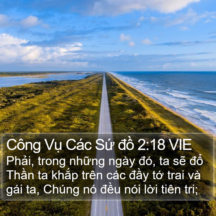 Công Vụ Các Sứ đồ 2:18 VIE Bible Study