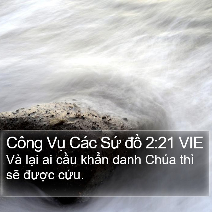 Công Vụ Các Sứ đồ 2:21 VIE Bible Study