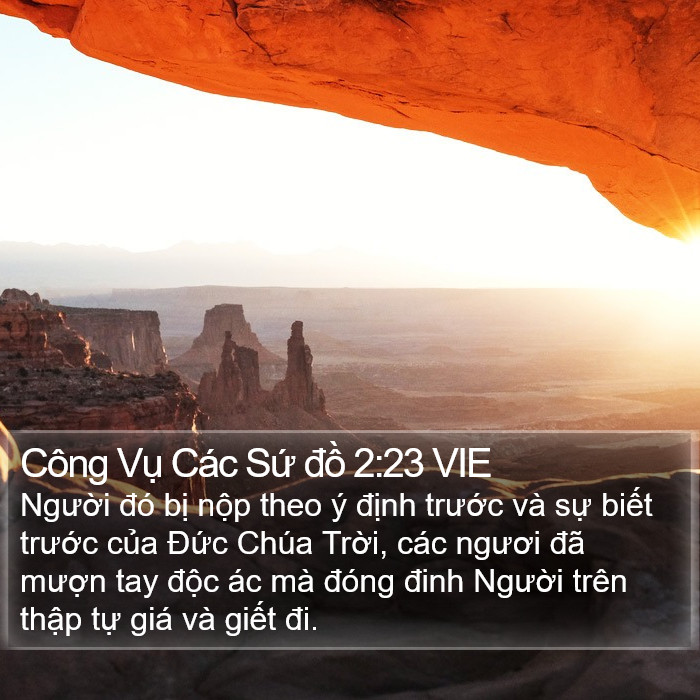 Công Vụ Các Sứ đồ 2:23 VIE Bible Study