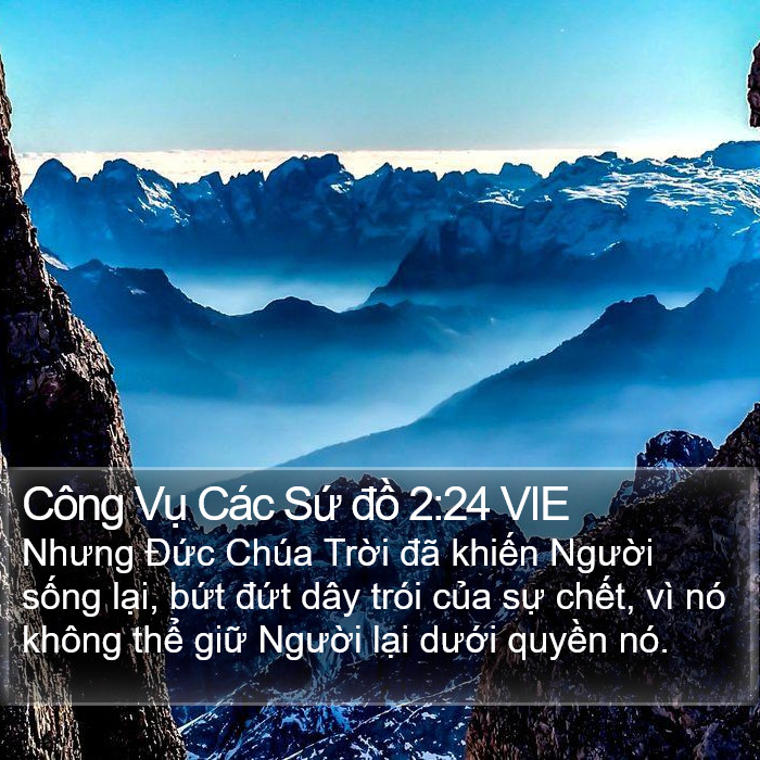 Công Vụ Các Sứ đồ 2:24 VIE Bible Study