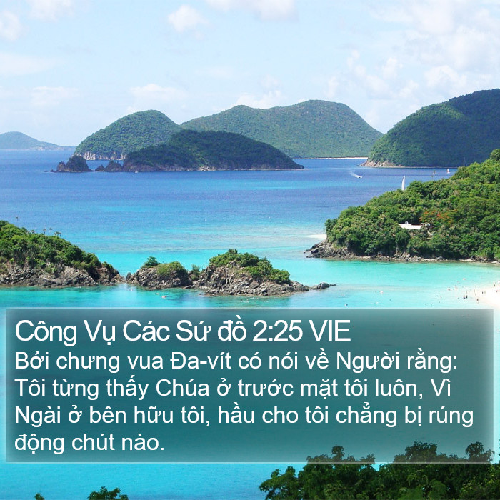 Công Vụ Các Sứ đồ 2:25 VIE Bible Study