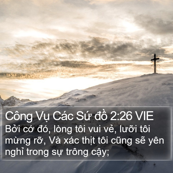 Công Vụ Các Sứ đồ 2:26 VIE Bible Study