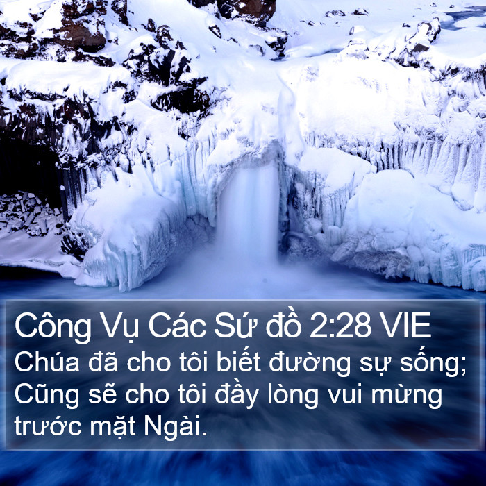 Công Vụ Các Sứ đồ 2:28 VIE Bible Study