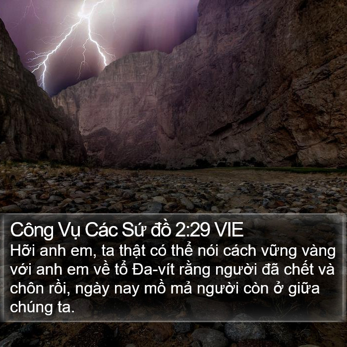 Công Vụ Các Sứ đồ 2:29 VIE Bible Study