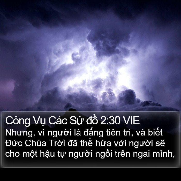 Công Vụ Các Sứ đồ 2:30 VIE Bible Study