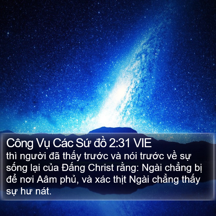 Công Vụ Các Sứ đồ 2:31 VIE Bible Study