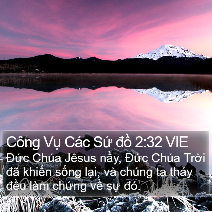 Công Vụ Các Sứ đồ 2:32 VIE Bible Study