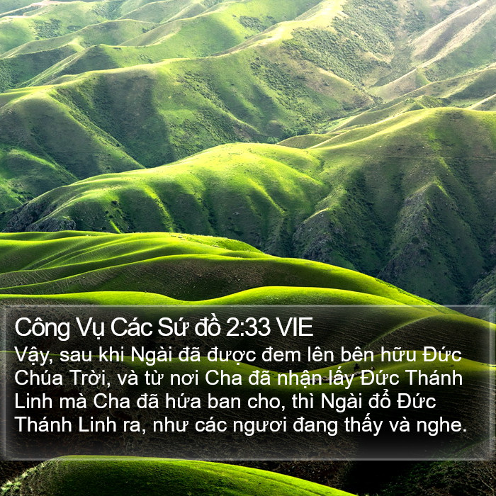 Công Vụ Các Sứ đồ 2:33 VIE Bible Study