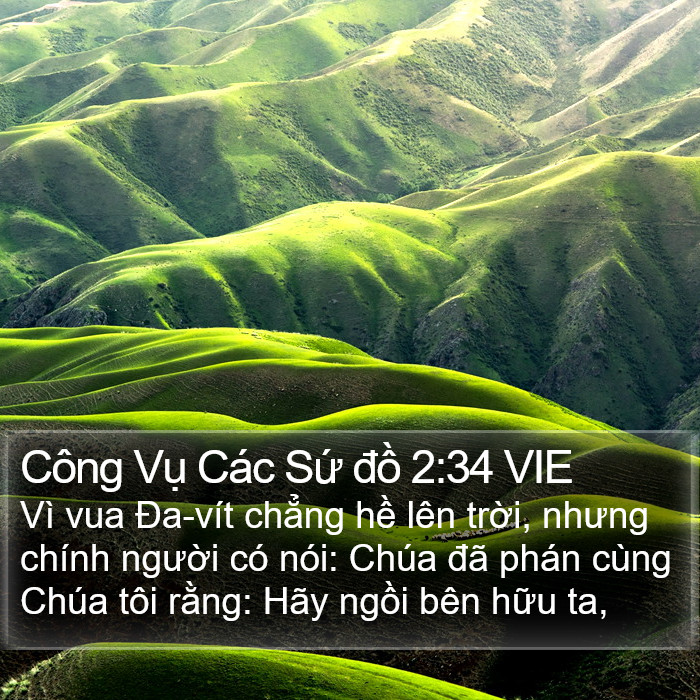 Công Vụ Các Sứ đồ 2:34 VIE Bible Study