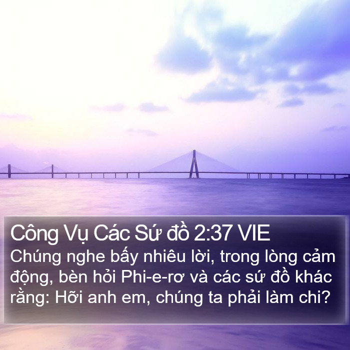 Công Vụ Các Sứ đồ 2:37 VIE Bible Study