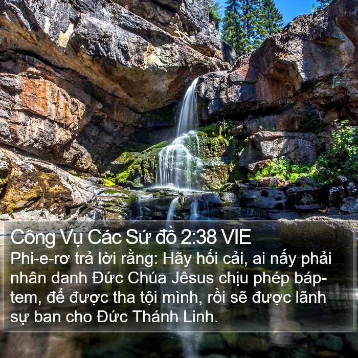 Công Vụ Các Sứ đồ 2:38 VIE Bible Study