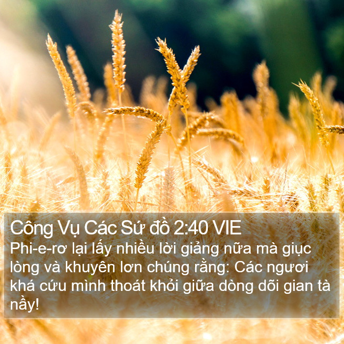 Công Vụ Các Sứ đồ 2:40 VIE Bible Study