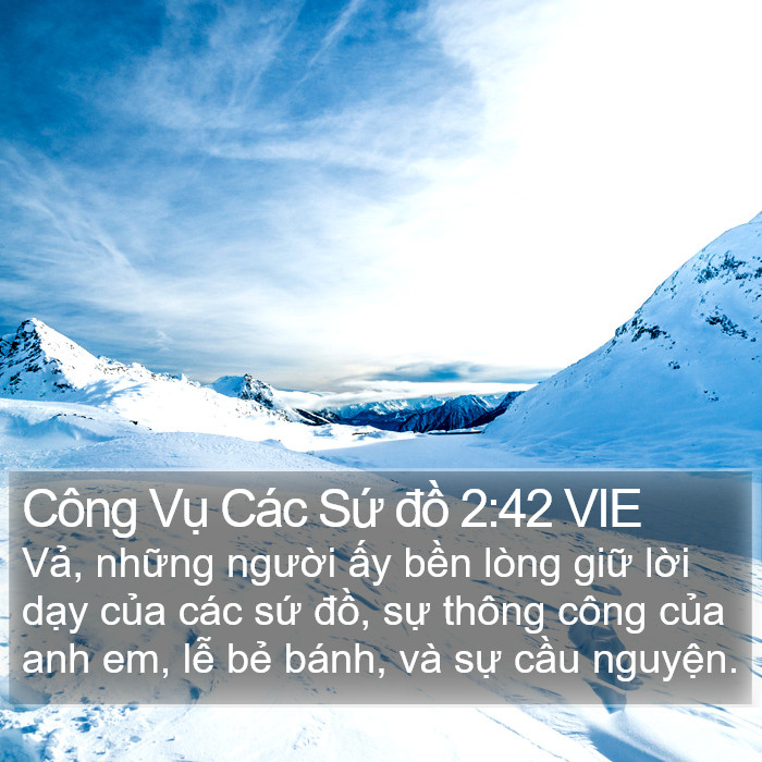 Công Vụ Các Sứ đồ 2:42 VIE Bible Study