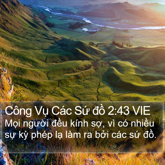 Công Vụ Các Sứ đồ 2:43 VIE Bible Study