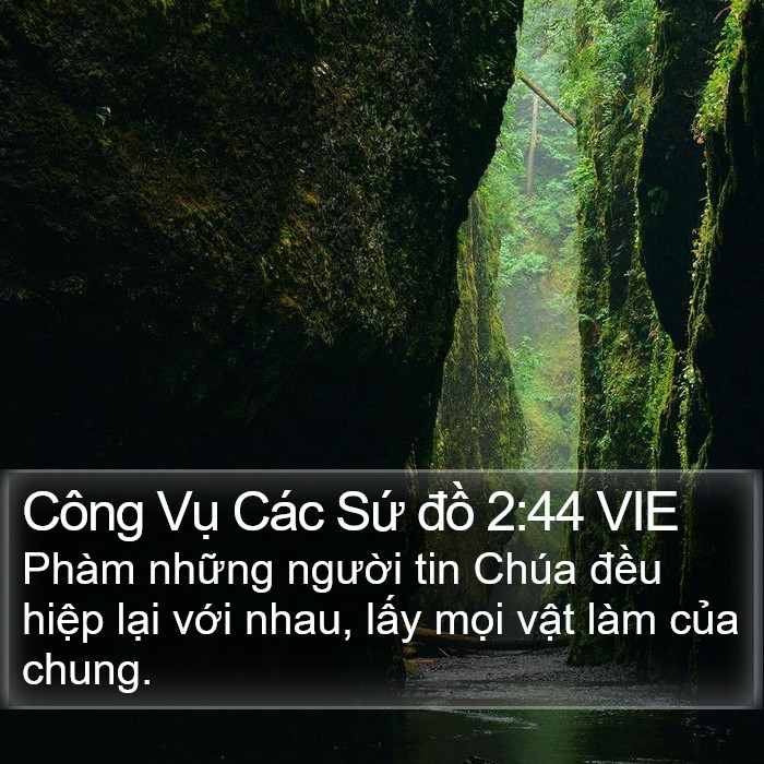 Công Vụ Các Sứ đồ 2:44 VIE Bible Study