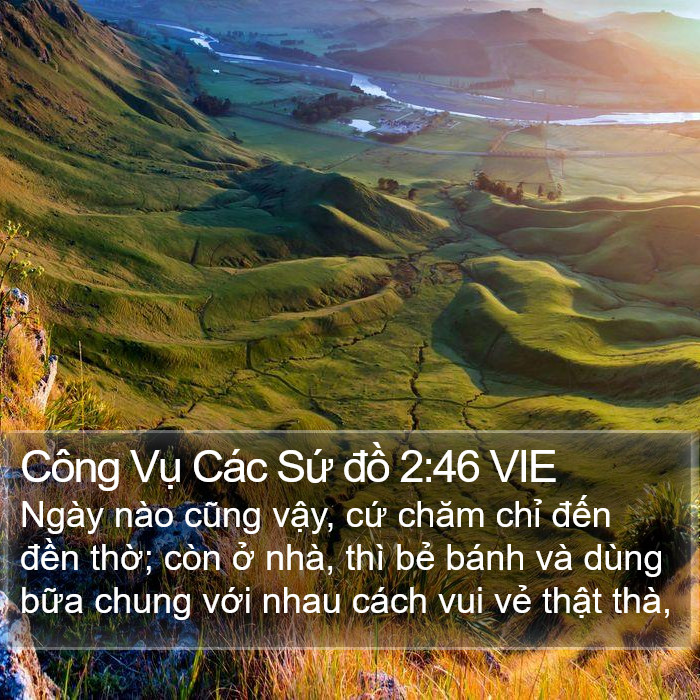 Công Vụ Các Sứ đồ 2:46 VIE Bible Study