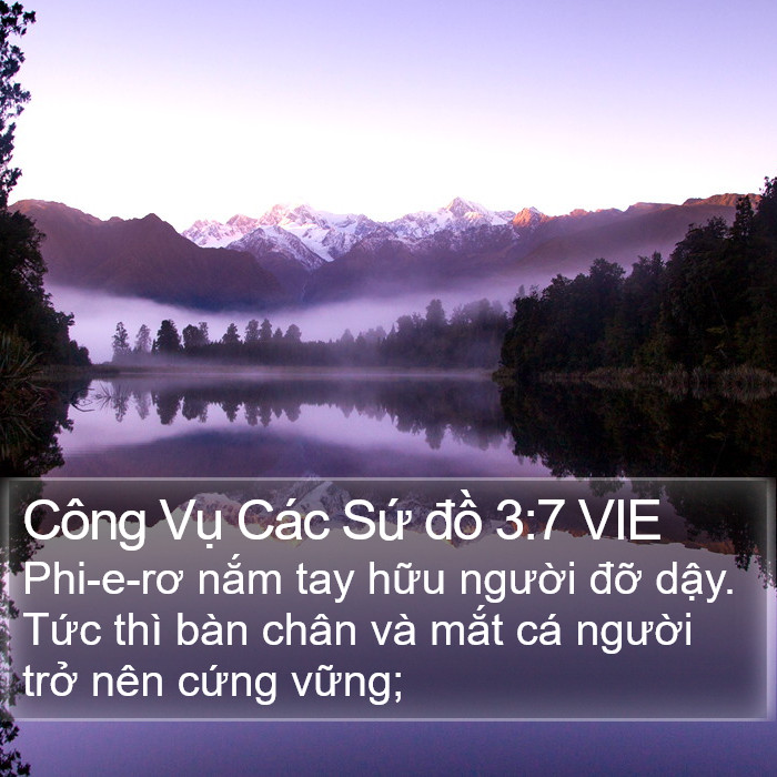 Công Vụ Các Sứ đồ 3:7 VIE Bible Study