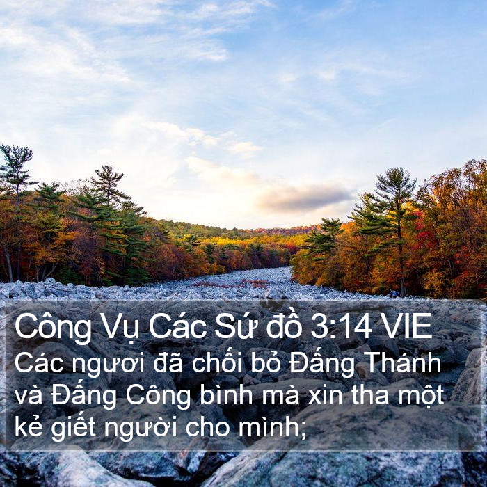 Công Vụ Các Sứ đồ 3:14 VIE Bible Study