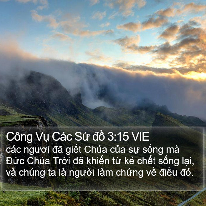 Công Vụ Các Sứ đồ 3:15 VIE Bible Study
