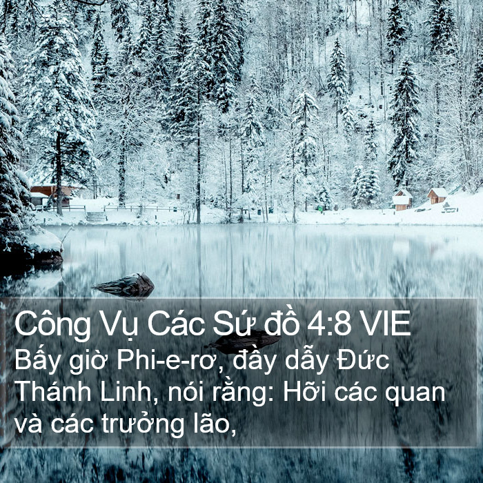 Công Vụ Các Sứ đồ 4:8 VIE Bible Study