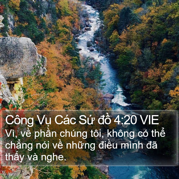 Công Vụ Các Sứ đồ 4:20 VIE Bible Study