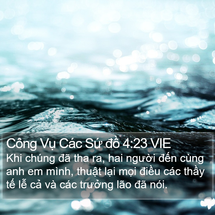 Công Vụ Các Sứ đồ 4:23 VIE Bible Study