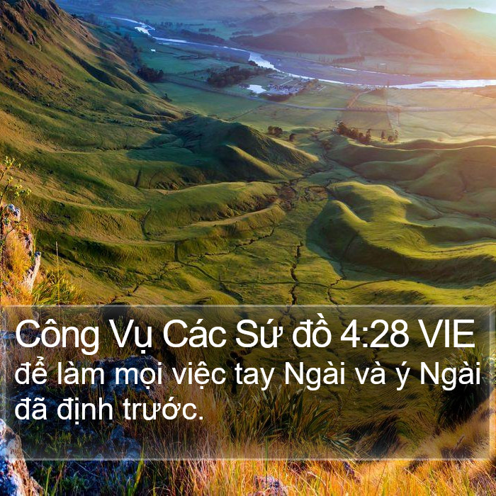 Công Vụ Các Sứ đồ 4:28 VIE Bible Study