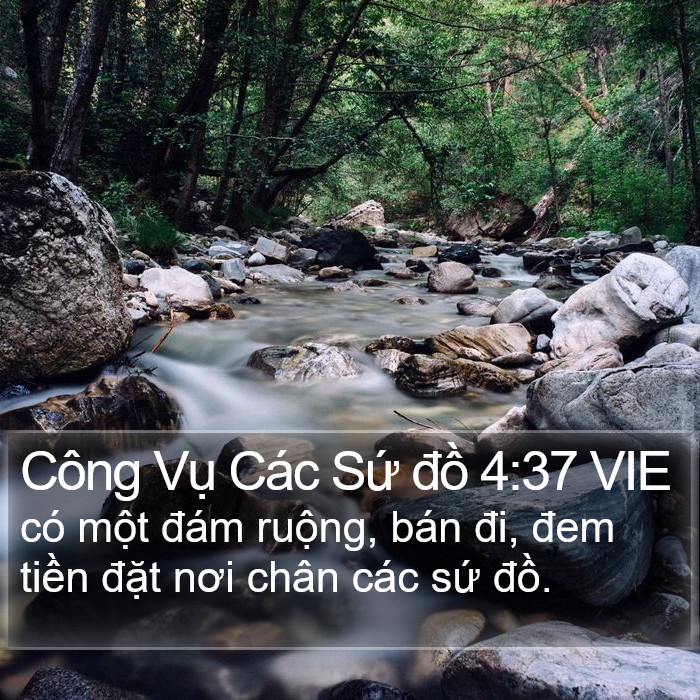 Công Vụ Các Sứ đồ 4:37 VIE Bible Study