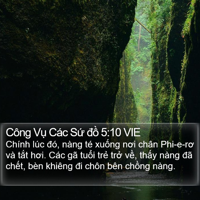 Công Vụ Các Sứ đồ 5:10 VIE Bible Study