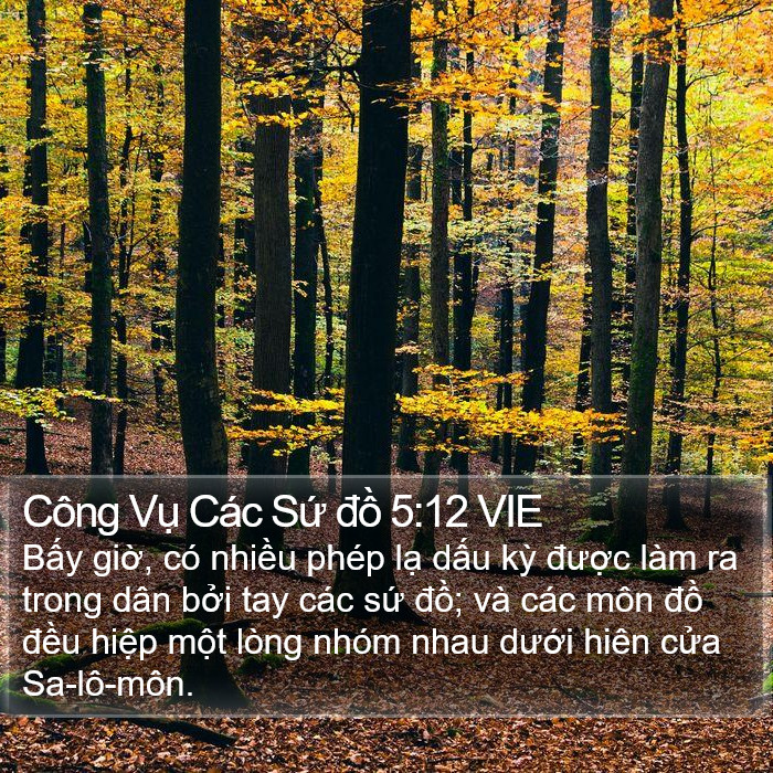 Công Vụ Các Sứ đồ 5:12 VIE Bible Study