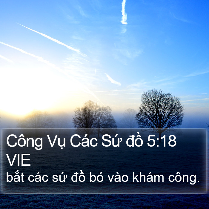 Công Vụ Các Sứ đồ 5:18 VIE Bible Study
